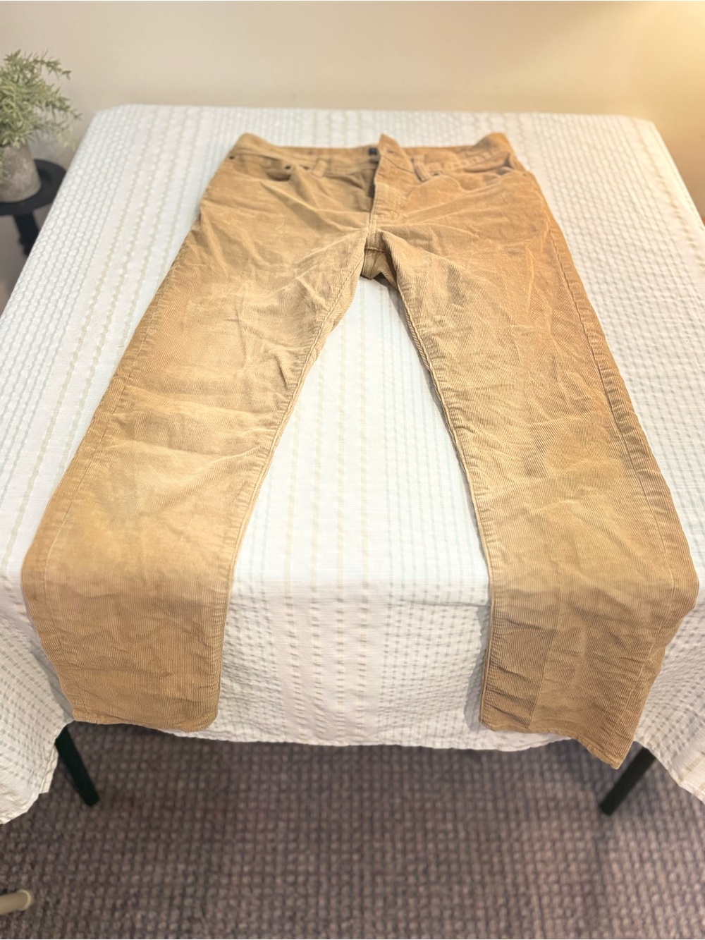 J. Crew Women's Straight-Leg Corduroy Pants in Tan